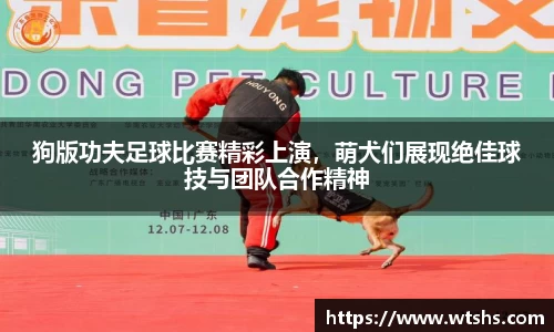 球盟会官网