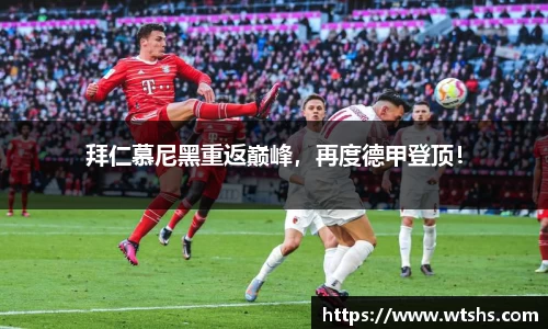 球盟会官网